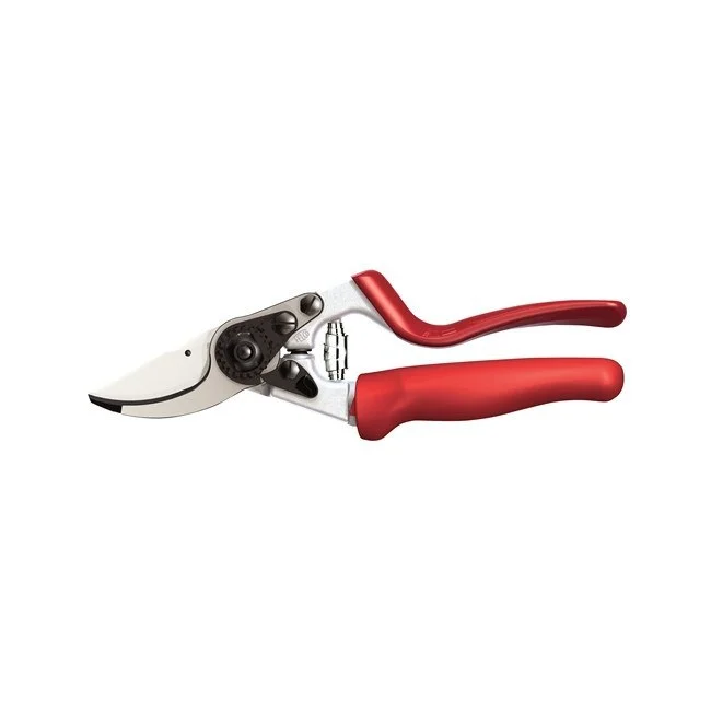 bigfrogsupply1442038
