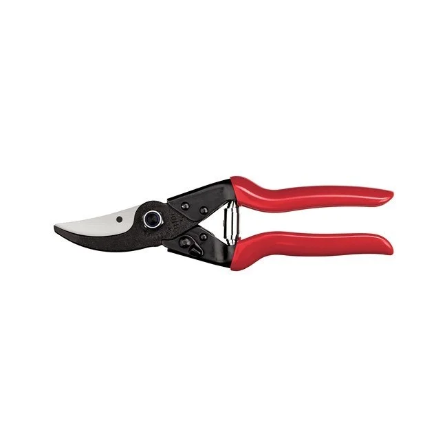 bigfrogsupply1464539