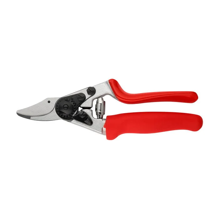 bigfrogsupply1623596
