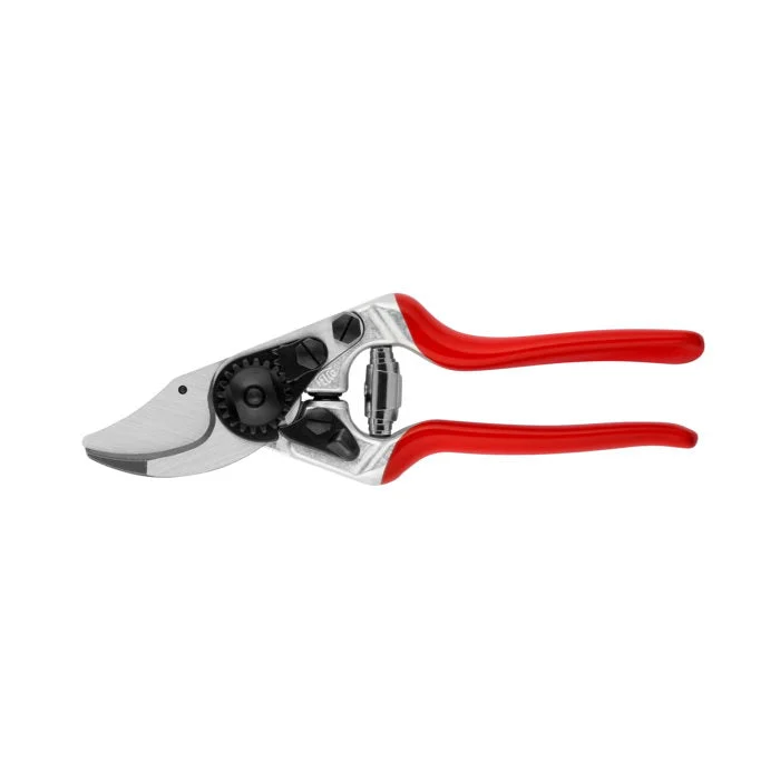 bigfrogsupply1623605