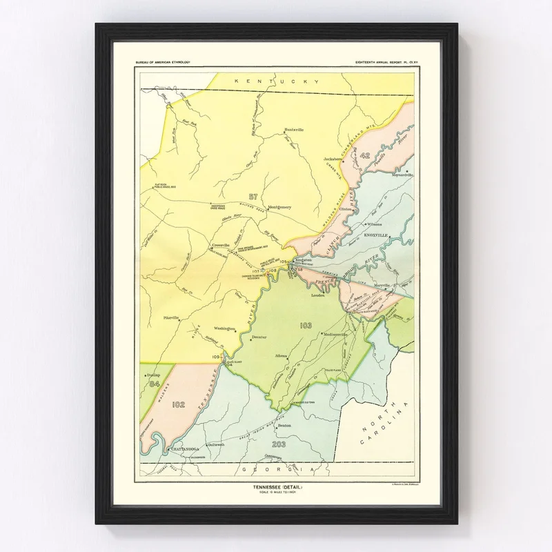gobekusa61564559