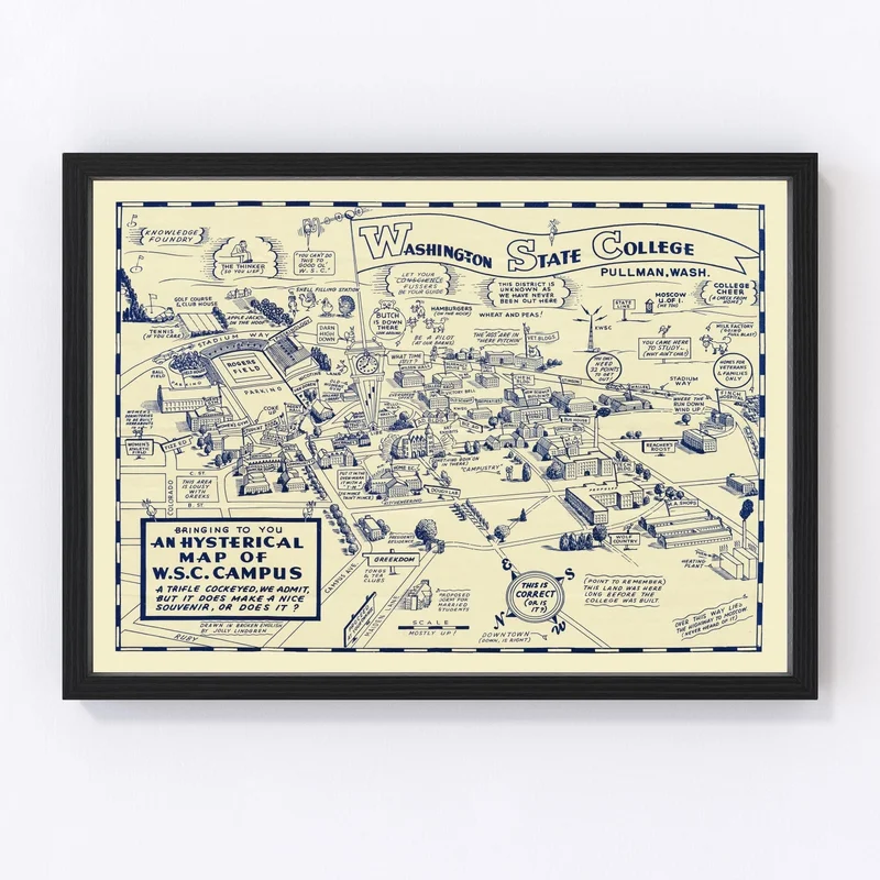 gobekusa61567506