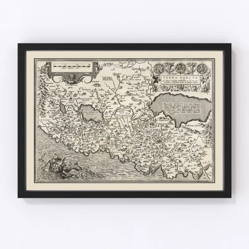 gobekusa61845003