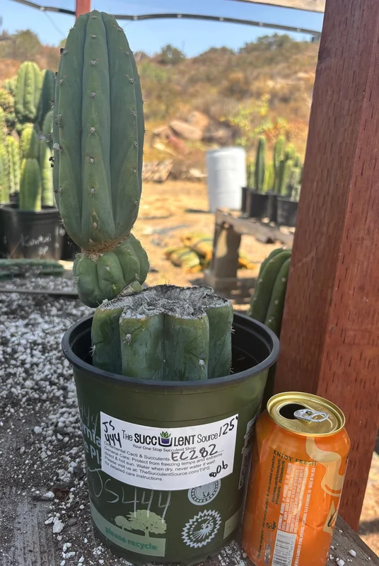 gobekusa91628389