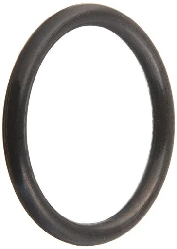 nyrpcorp1-1716391
