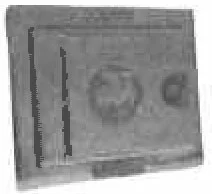 nyrpcorp1-1731699
