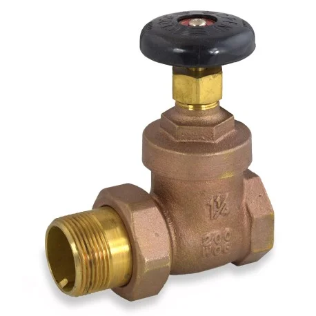 pexuniverse-1710668