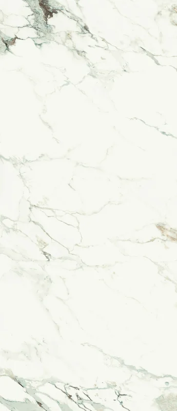 surfacegroup21540722