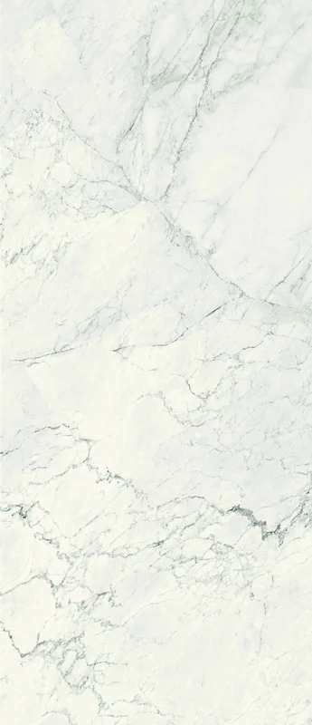 surfacegroup21540740