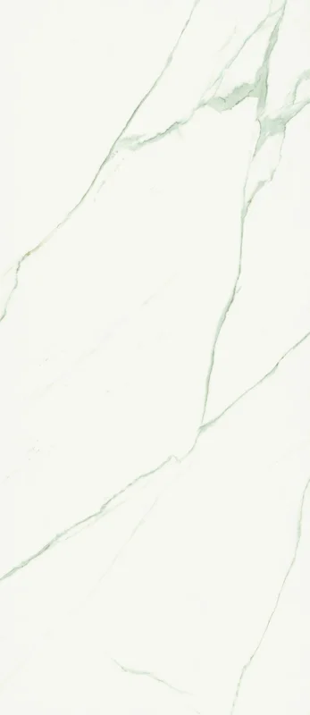 surfacegroup21541091